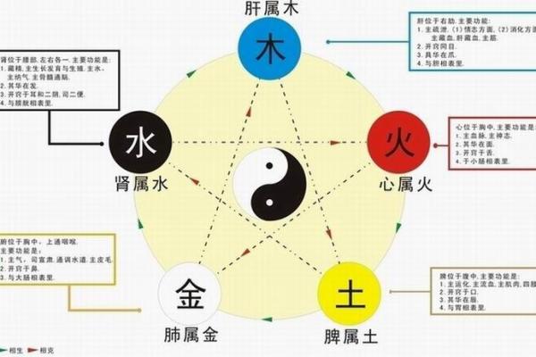 木命之人的相克关系:探索五行相生相克的奇妙世界 木命之人的相克关系:探索五行相生相克的奇妙世界
