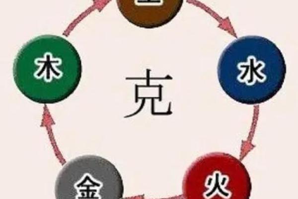木命之人的相克关系:探索五行相生相克的奇妙世界 木命之人的相克关系:探索五行相生相克的奇妙世界