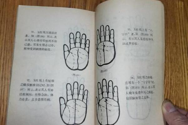 解读命局的奥秘：发现自我与人生的潜力