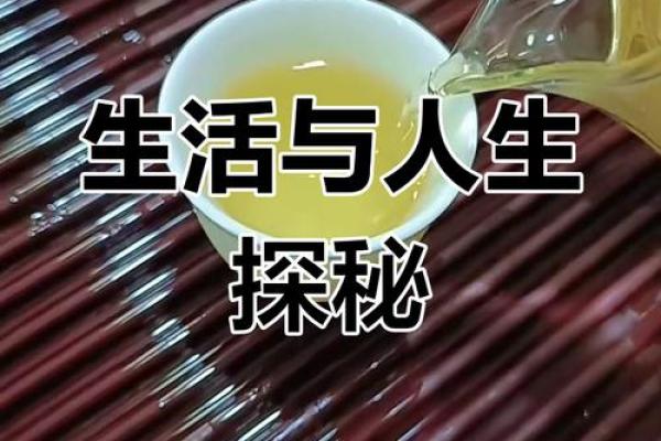 探寻一九七九年出生的命运与个性,揭示人生的奥秘与精彩! 探寻一九七九年出生的命运与个性,揭示人生的奥秘与精彩!