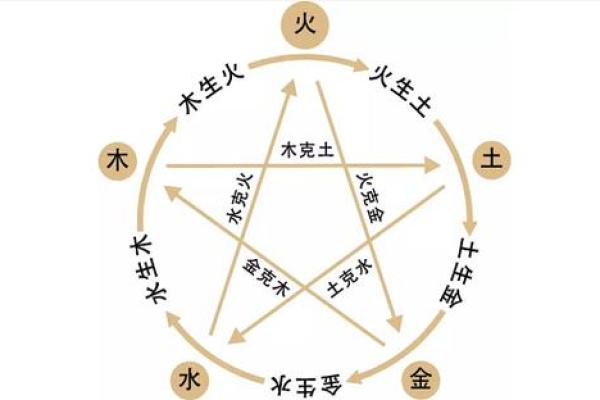探秘女孩的命理：金木命属相之美丽与智慧
