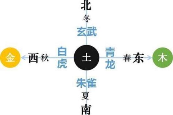 平地木命与五行相生的和谐之道