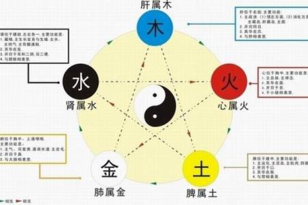 木命之人的相克关系:探索五行相生相克的奇妙世界