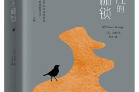 探究乙亥命格：独特的人生旅程与性格特征