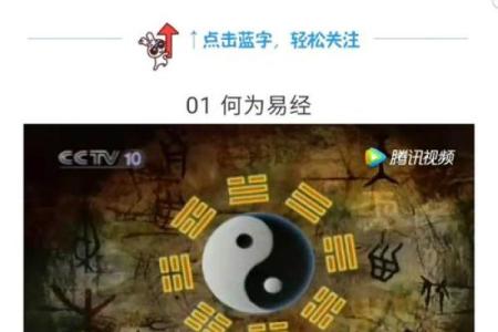解读命局的奥秘：发现自我与人生的潜力