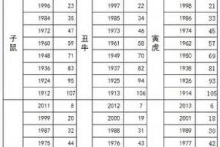 虚岁23岁属什么命？探索这一年运势的奥秘与启示