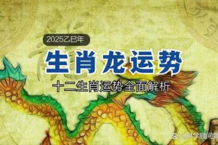 男命乙巳:探秘与生肖的深刻联系与启示