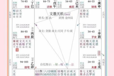 命理中正宫代表的含义与影响解析