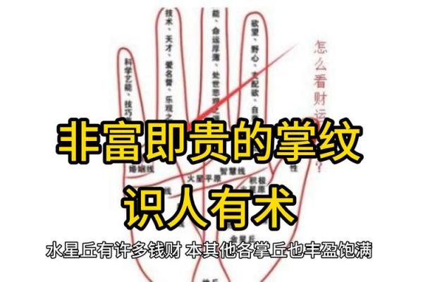 探秘男人手纹：透视命运与性格的奥秘