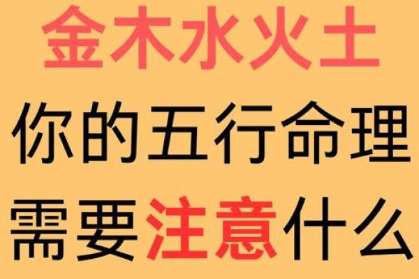 属猪儿子的命运解析：从五行看性格与运势