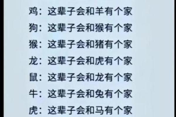属猪儿子的命运解析：从五行看性格与运势