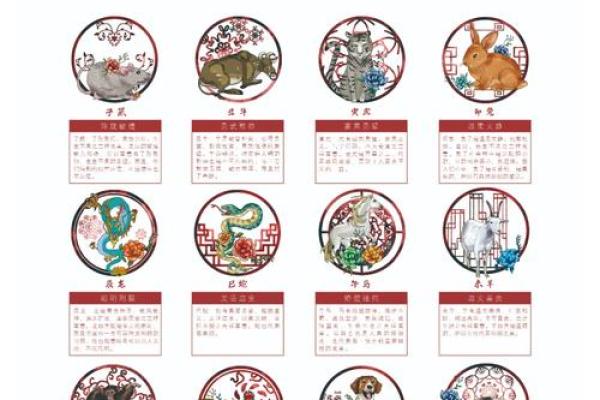 揭秘中午出生兔子的命运与性格特点