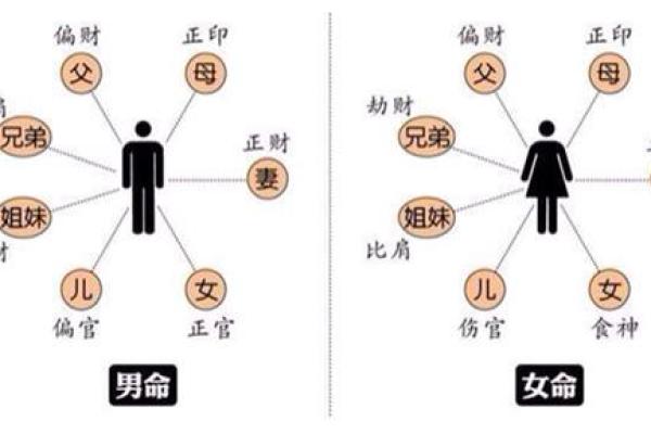 揭开白堪命的神秘面纱：探索命理背后的深刻哲理