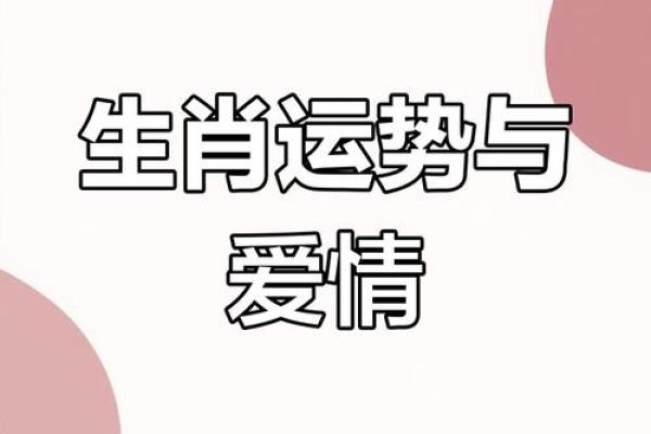 如何通过生肖与命理解析婚姻情缘的秘密