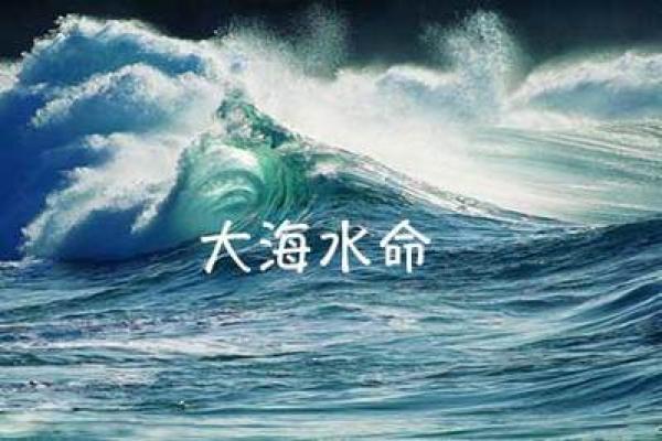 探寻癸亥大海水命的深意与命运轨迹 探寻癸亥大海水命的深意与命运轨迹