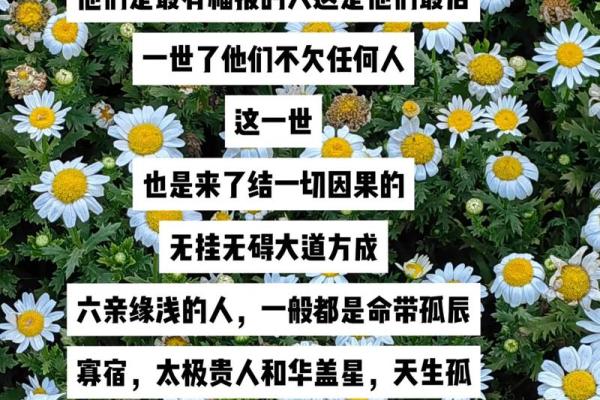 命理学的庸俗性:当科学与迷信交织的边界模糊 命理学的庸俗性:当科学与迷信交织的边界模糊