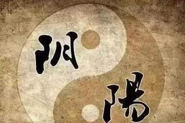 孩子的命运与五行：如何让他们的生活更出彩