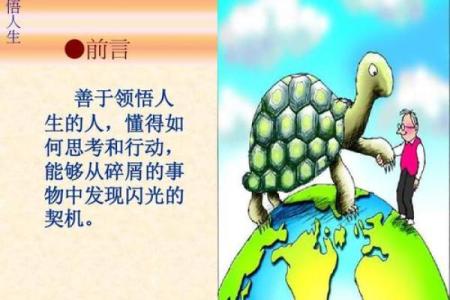 揭示双童子命的奥秘：命运与人生的双重契机
