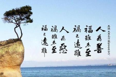 探秘命里缺水的人：如何通过风水改善生活运势