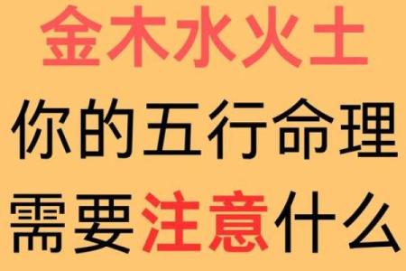 属猪儿子的命运解析：从五行看性格与运势