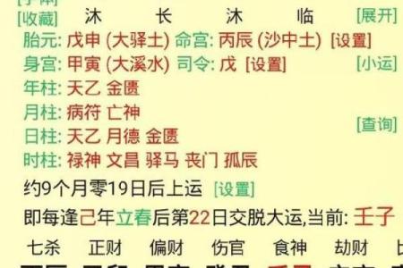 探索命理之奥秘：癸丑、丁巳、丙辰命理解析与人生智慧