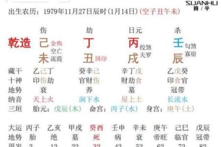 探秘乙亥年：命格解析与人生启示