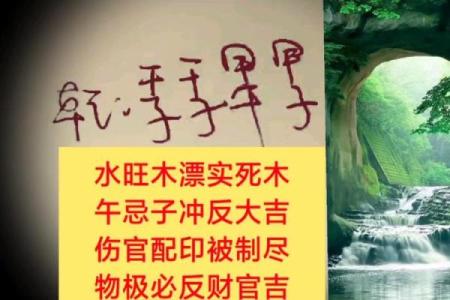 探秘甲午日女命的命理解读与人生启示
