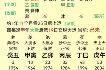 探秘命理学：了解命理入库的深远意义与个人潜力
