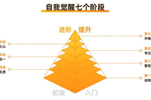 深入探讨癸巳命人的性格特征与命运走向