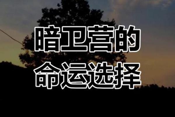 探秘六亲不认的命格：命运的选择与自我价值的追求