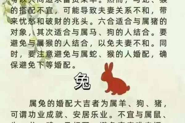 生肖配对秘笈：哪些生肖能共谱命中注定的爱情？