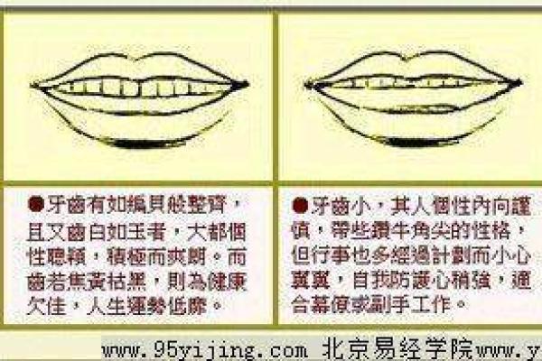 男孩门牙大,命运如何?揭秘背后的秘密与影响! 男孩门牙大,命运如何?揭秘背后的秘密与影响!