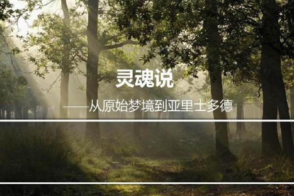 探索命与心念的哲学：一场灵魂的对话