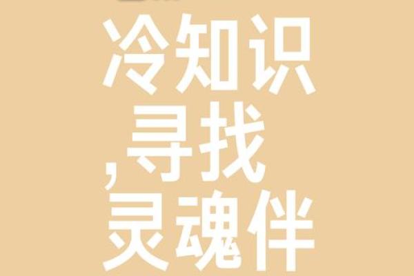 探索命与心念的哲学：一场灵魂的对话