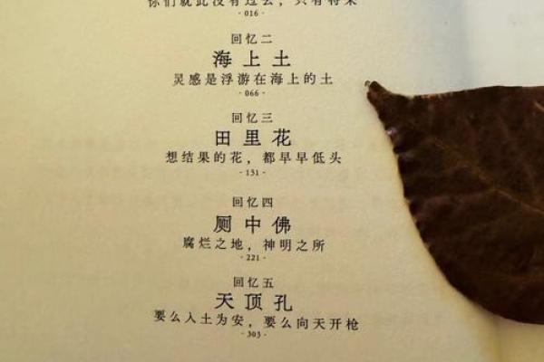 命运的呼唤:探寻人生的真谛与意义 命运的呼唤:探寻人生的真谛与意义
