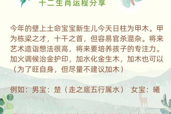 己酉土命者如何选择最佳楼层，提升居住运势与生活品质