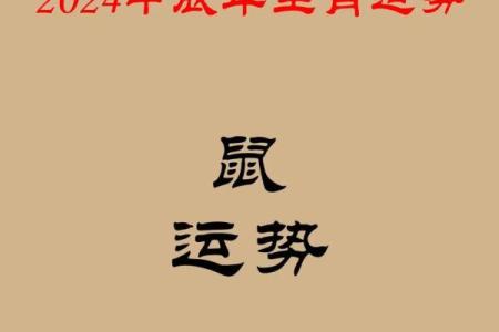 揭秘1960年出生的生肖与命运：走进鼠年的秘密