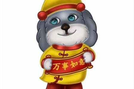 属狗大海水命人怎样选择合适的摆件与风水物品