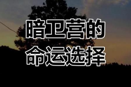 探秘六亲不认的命格：命运的选择与自我价值的追求