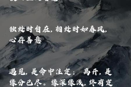 探寻2002年出生者的命运之道：个性与人生轨迹的探索