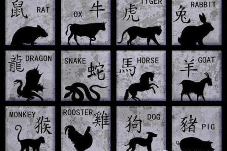 虎生肖与最佳婚姻命运探秘：你是幸福的拥有者吗？