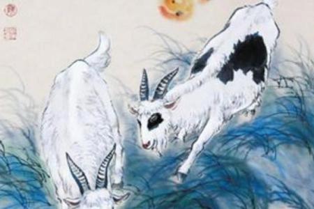 探寻宋美龄的生肖命运与人生智慧