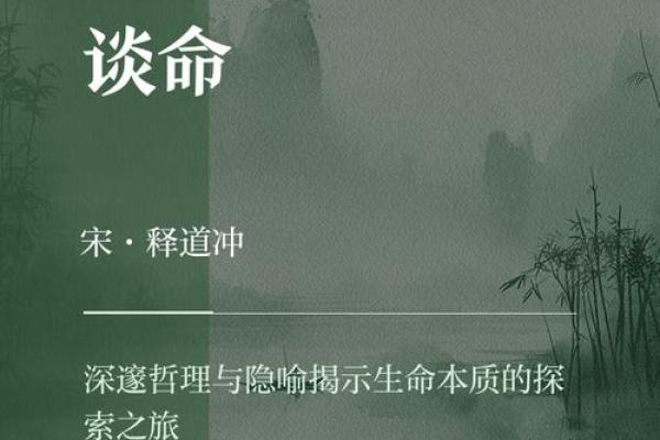 探秘95命格至尊：揭开命运的奥秘与未来的指引