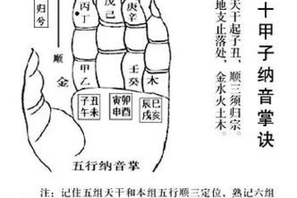 探索83年出生者的命理奥秘与五行解析