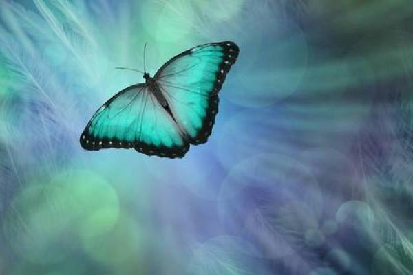 探寻命魂之玉的色彩之谜:揭示不同颜色与灵魂的关联 探寻命魂之玉的色彩之谜:揭示不同颜色与灵魂的关联