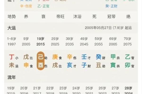 己酉日出生的人：解读他们的命理与性格特征