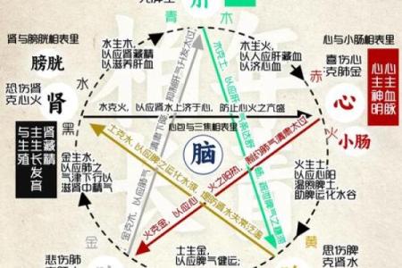 探索83年出生者的命理奥秘与五行解析