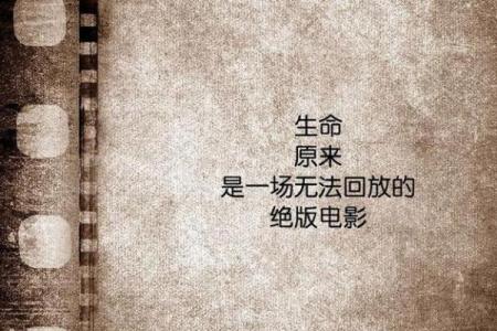 握拳与命运的秘密：探索汉字之美与生命的意义
