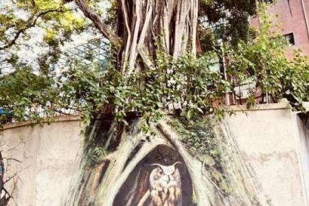 西宁附近“命换命”的神秘之地，探寻古老传说与人生哲学的交汇点