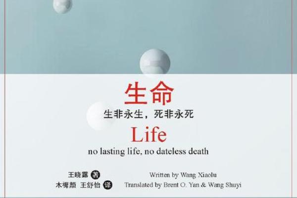 探寻“命”的深意:生命的起源与尊重 探寻“命”的深意:生命的起源与尊重